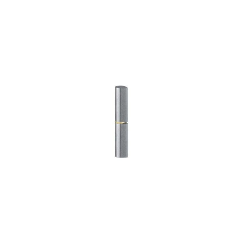 Gond de porte KO 50 60mm Inox Leroy Merlin — free download