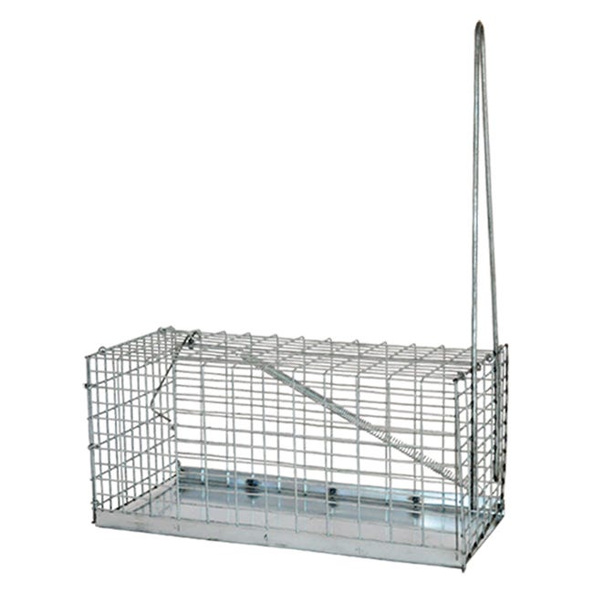 Trappola per topi a gabbia cm 9 x 21 x h 9 - 'piccola
