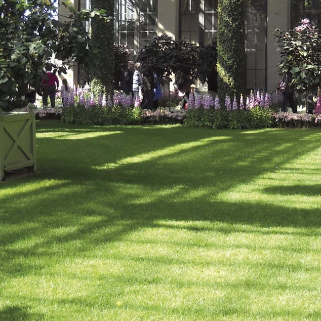 VERDELOOK Sempreverde® Erba artificiale, 2x20 m, arredo giardino