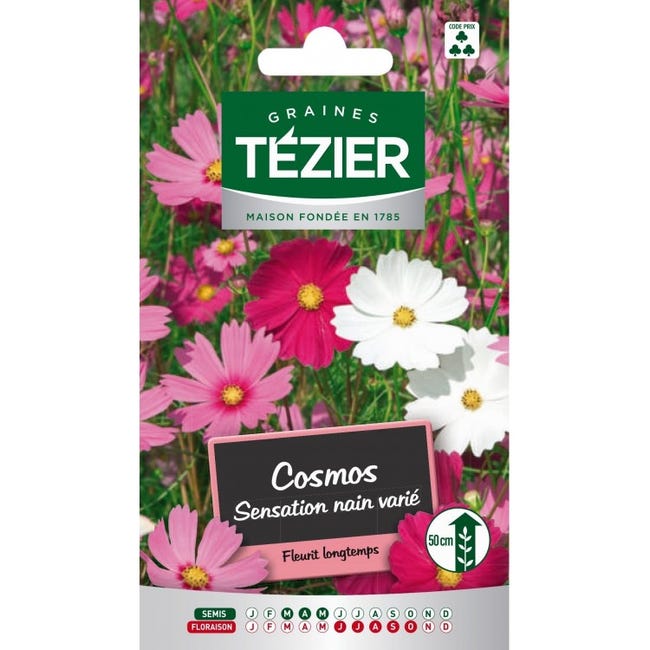 Tezier - Cosmos Sensation nain varié -- Fleurs annuelles | Leroy Merlin