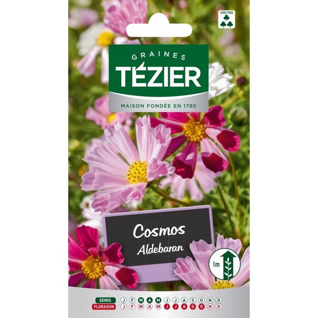 Tezier - Cosmos Aldebaran Fleurs annuelles | Leroy Merlin