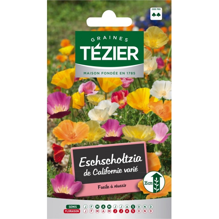 Tezier Eschscholtzia Ballerine variée Fleurs annuelles 