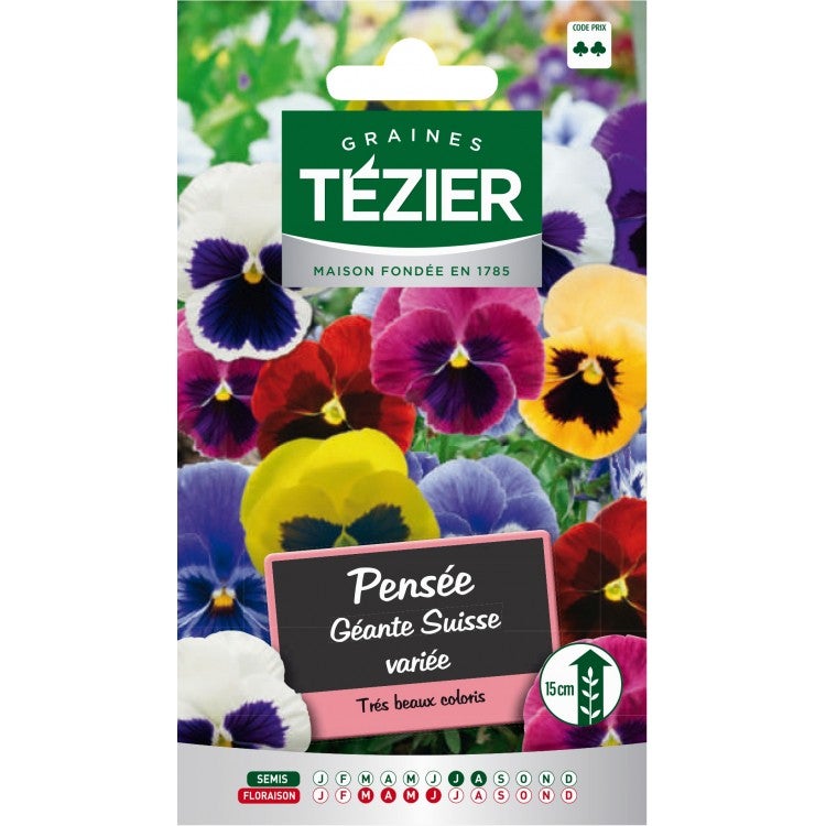 Tezier - Pensée géante Suisse variée -- Fleurs bisannuelles | Leroy Merlin