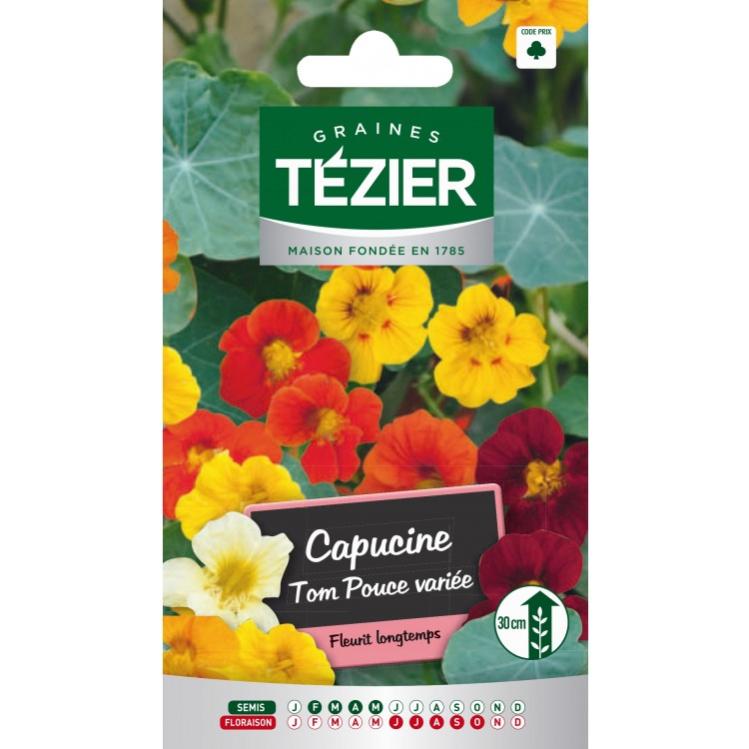 Graines De Capucine Naine Tom Pouce - Sachet 5g - Fleurs Annuelles - LES GRAINES BOCQUET