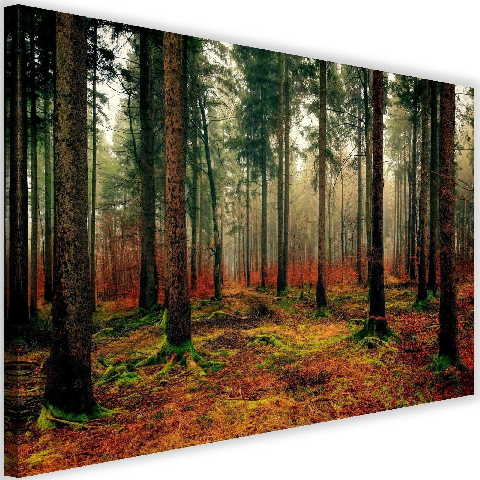 Tableau forêt belle de la nature - 60 x 40 cm