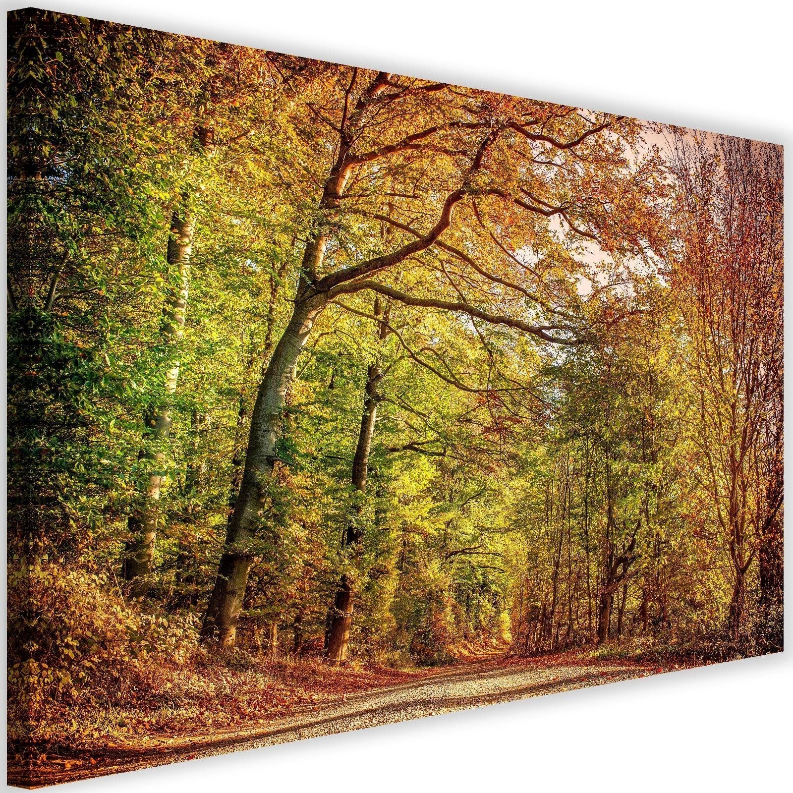 Tableau Peinture Paysage - Forêt - Couleurs - Nature - 60x40 cm -  Décoration murale