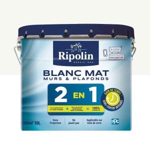 ALPINA - Alpina Peinture Acrylique Murs & Plafonds Blanc Mat - 2,5L, 5L,  10L - Blanc - Cette peinture Alpina Murs et Plafonds est une peinture  intérieur - Livraison gratuite dès 120€