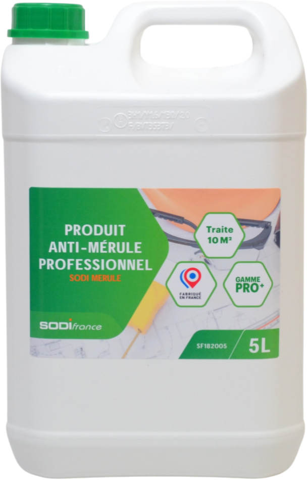 Traitement Anti-mérule DALEP 5L - Neuf, Pour éliminer Et Prévenir Les Champignons Du Bois