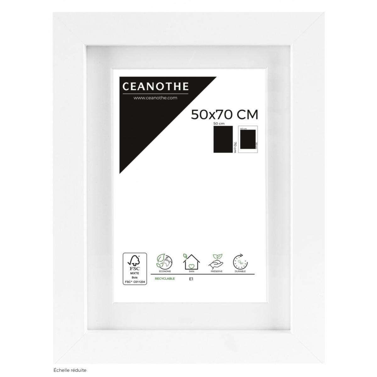 DONAU Cadre Photo A4 Sans Cadre - 21x29.7cm - Plexiglas - Pour Photos, Posters, Puzzles
