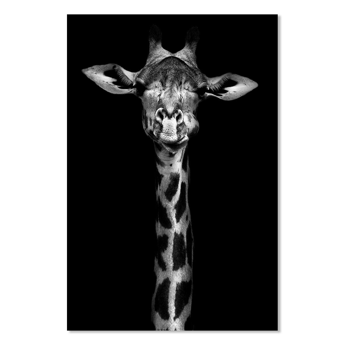 Couverture girafe taggie étiquettes ruban sensorielles noir blanc