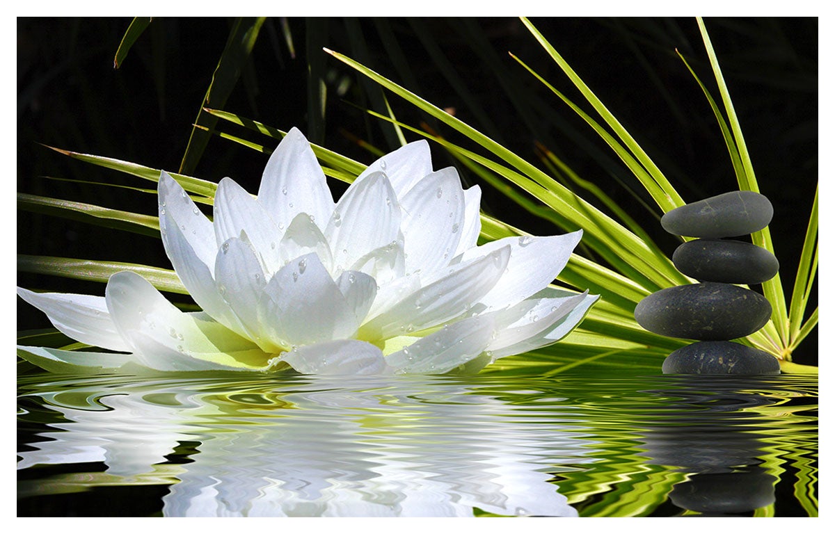 Affiche deco ambiance zen et fleur de lotus - 60x40cm - made in