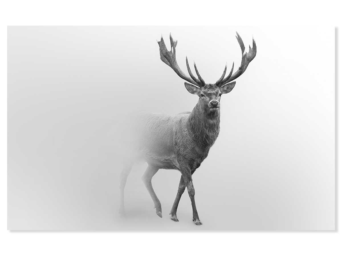 Tableau Cerf Dans Le Brouillard