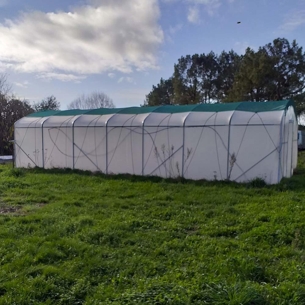 Serre tunnel PROFESSIONNELLE 70m² avec une double-porte par pignon - Bâche thermique diffusante et structure Ø40mm - 5
