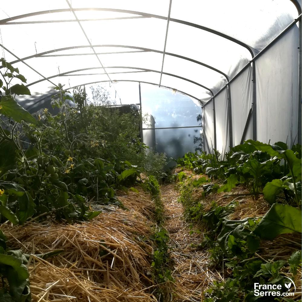 Serre tunnel PROFESSIONNELLE 70m² avec une double-porte par pignon - Bâche thermique et structure Ø40mm - 3