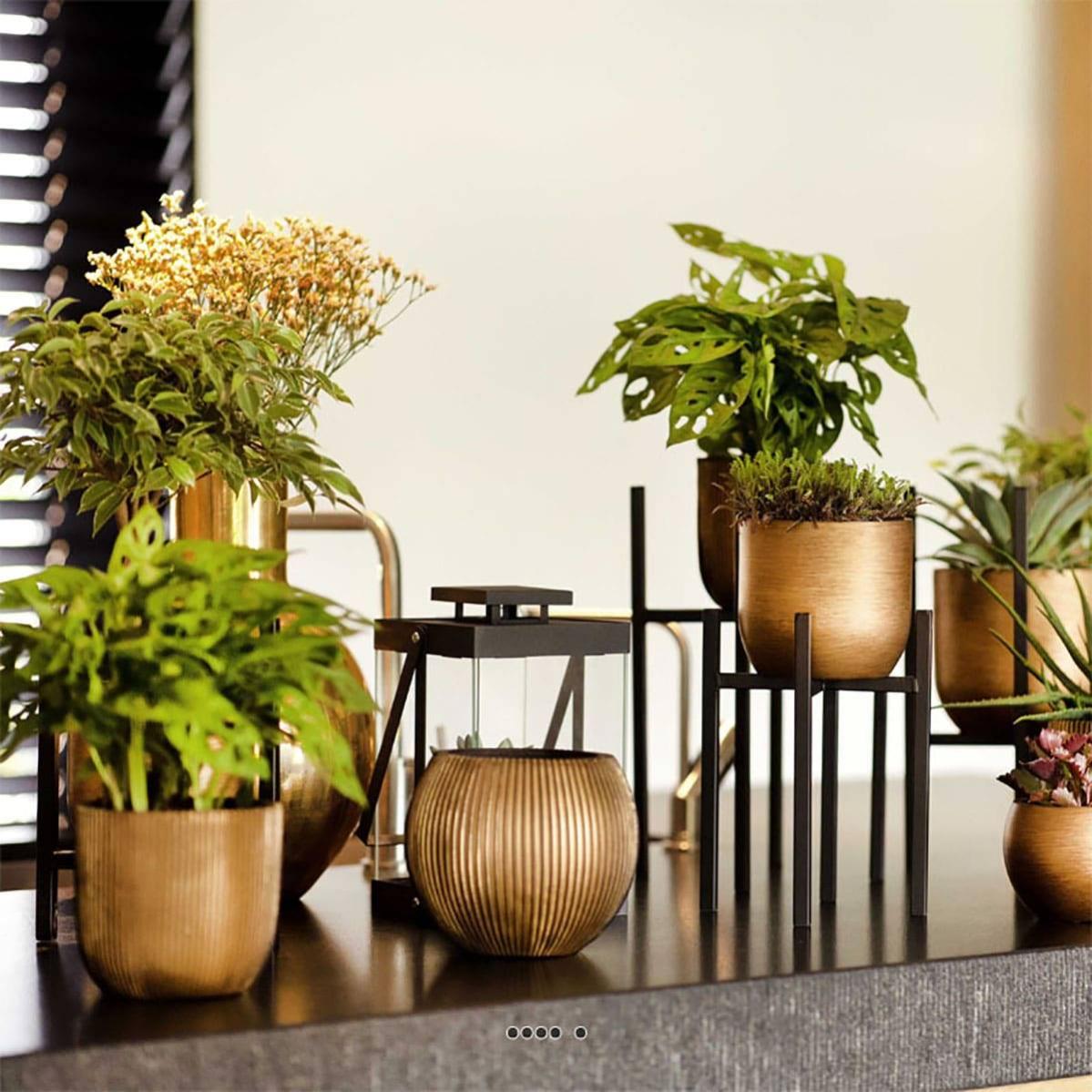 Joli pot rétro forme eggpot doré en matières synthétiques H 6 x D 8 cm Doré - 2