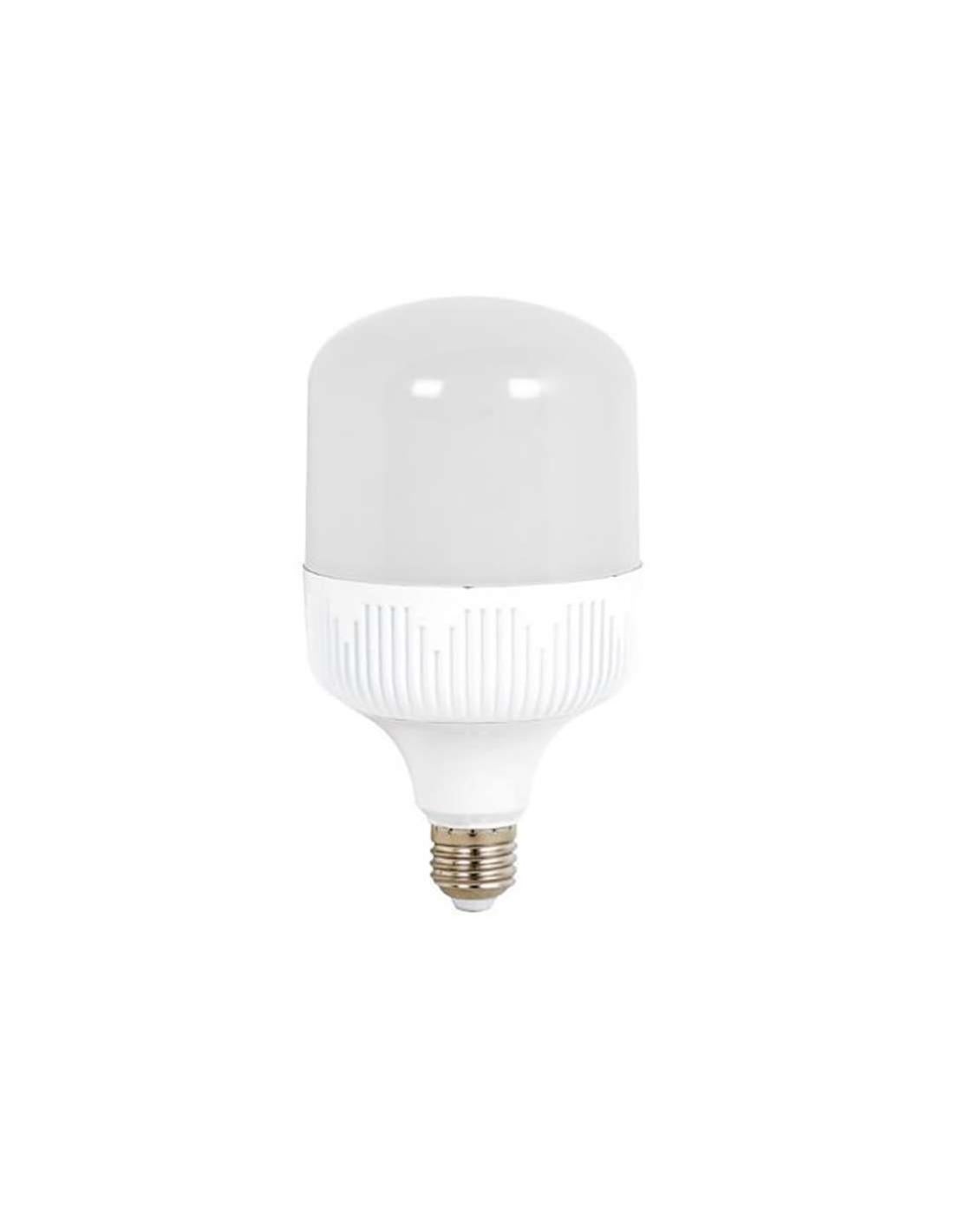 Ampoule Led 30w 2900 Lumens (200w) E27 T80 Blanc Du Jour 5500k