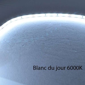 Ruban LED RGBW Blanc du Jour 6000K 96 LED/m 27W/m - Longueur 10m