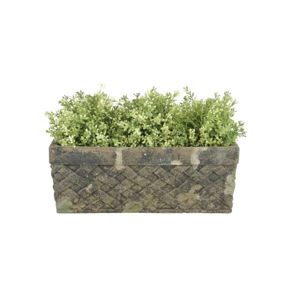 Soucoupe Méditerraneo Terre Cuite 40 X 17 X 3 Cm Tildenet – Résistante Gel -20°C, Avec Trous Drainage