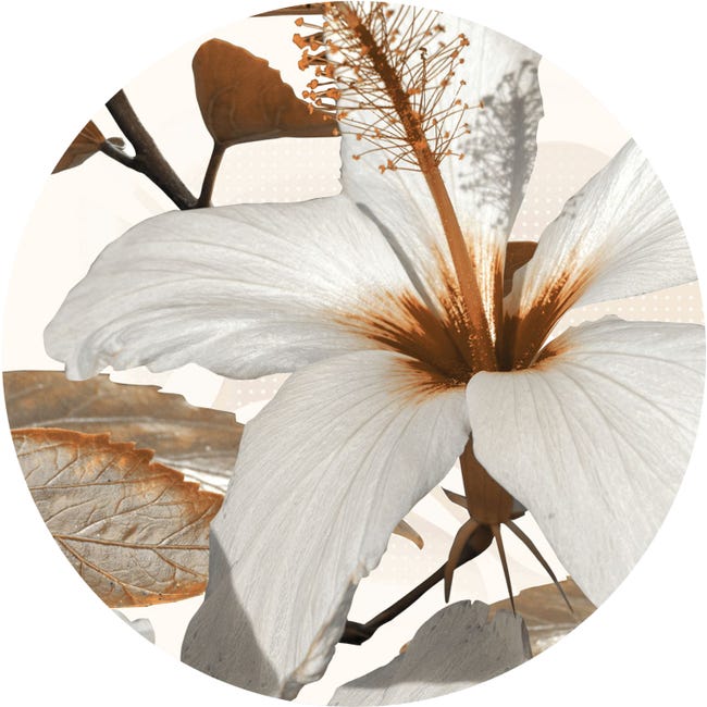 Mural redondo autoadhesivo flor del lirio blanco y marrón - Ø 140 cm -  Sanders & Sanders | Leroy Merlin