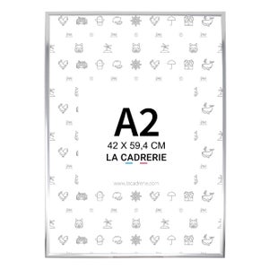 Cadre format A2 - 42x59,4 cm en aluminium - Doré - Vitre PVC
