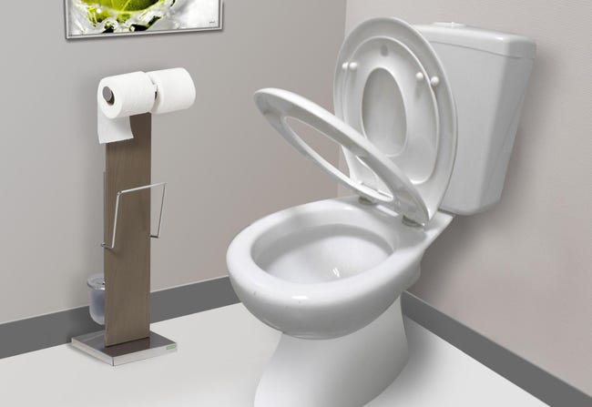 Abattant toilette reducteur integre best sale