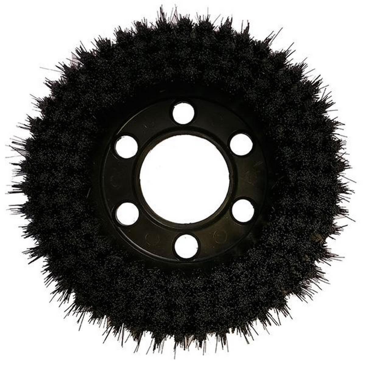 Brosse Lavage Dure Pour Cireuse Fakir 3SL - Pièce Detachée Référence 0100820