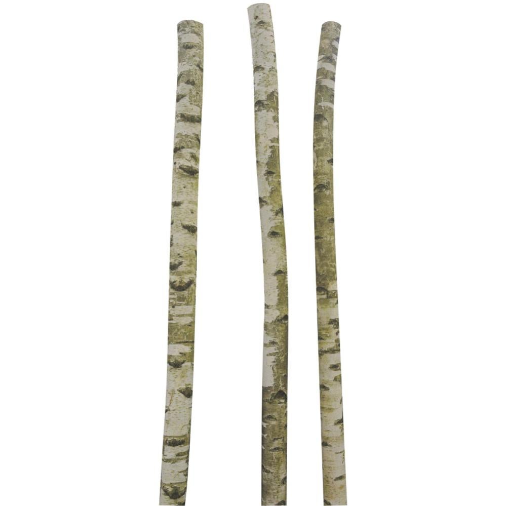 CoasterStone Sottobicchieri In Pietra Assorbente | Set Da 4 Con Fiori Su Betulla | 10,6 Cm | Prodotto USA