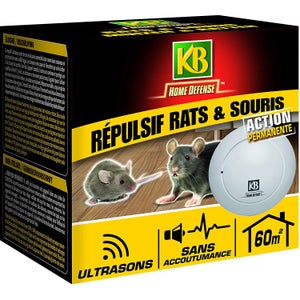 Ultrason Souris et Rats, Repulsif Souris Ultrasons 360° Anti Souris avec  Lumière LED Appareil Ultrason