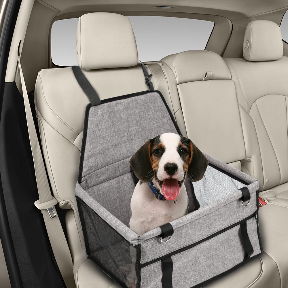 Siège auto pour chiens de petite et moyenne taille, siège stable pour chien  avec