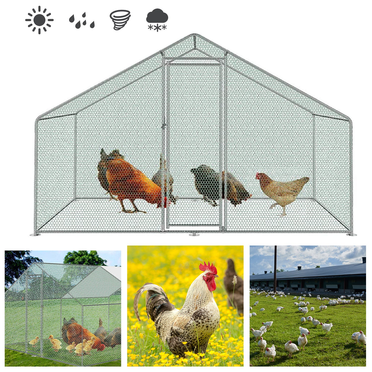 Pollaio da esterno recinzione in rete metallica 3x2x2m per polli