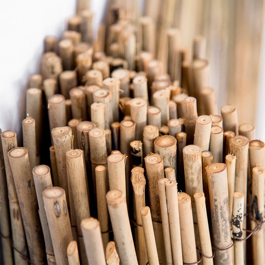 casa pura Canne Bamboo Intere 26-35 mm - 100x250 cm Robusta Canna di Bambu Naturale 