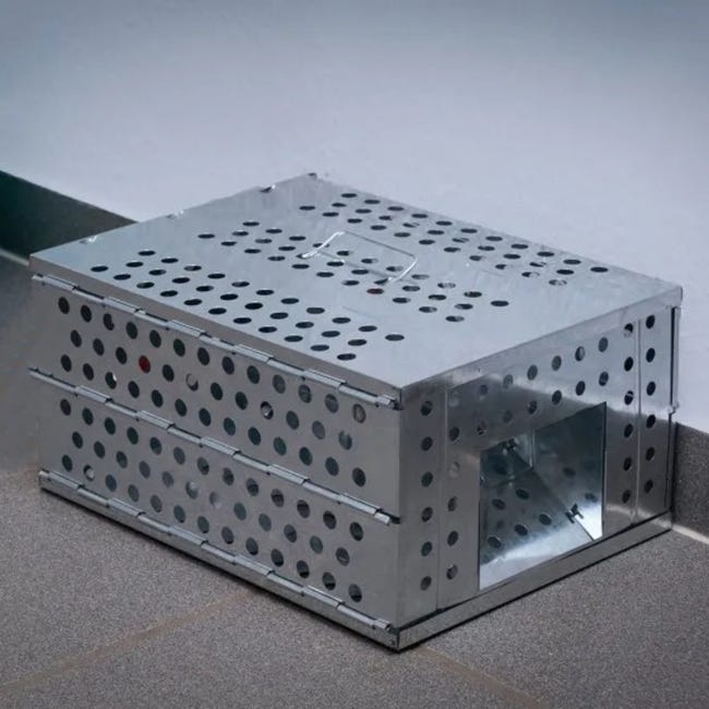 Trappola a gabbia per ratti, fondo in legno, 27.5x9.5x10cm, Disinfestazione ratti, Disinfestazione