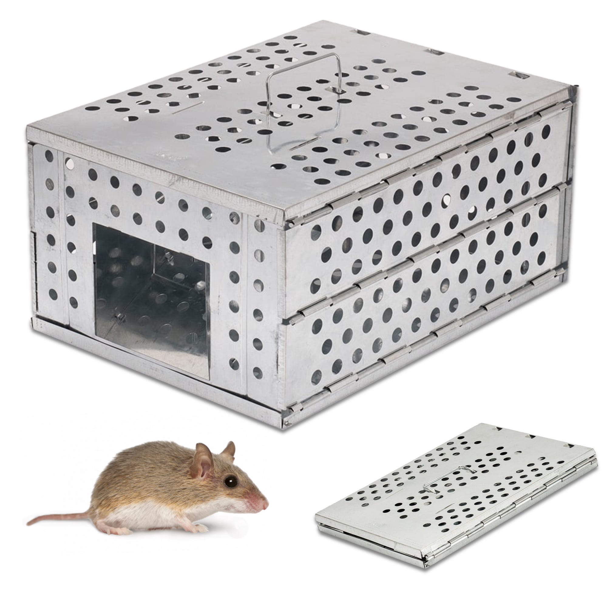 Trappola per ratti topi roditori gabbia di plastica confezione da 2 unità  60 x 170 x 64 mm - Cablematic
