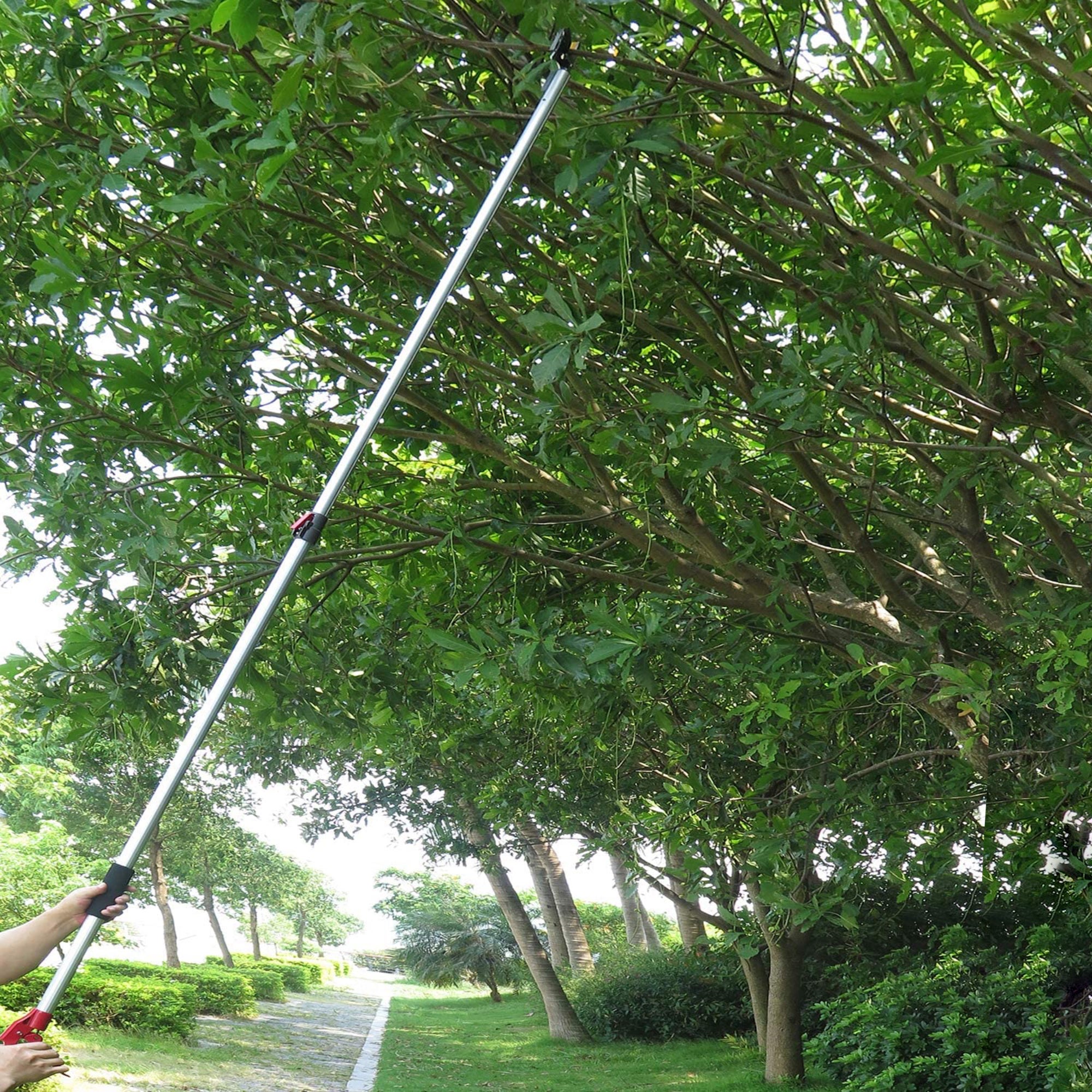 Scie à élagage télescopique Profession de 18ft 5,5 m Polonailleuse d'arbre Extensible Polonailleuse à la scie for la Taille et la Coupe des Branches et des Feuilles de Jardin Arbre fruitier 