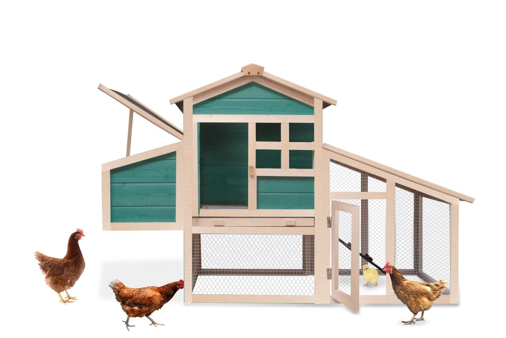 PRIVATE GARDEN Poulailler à Poules avec Enclos et Pondoir