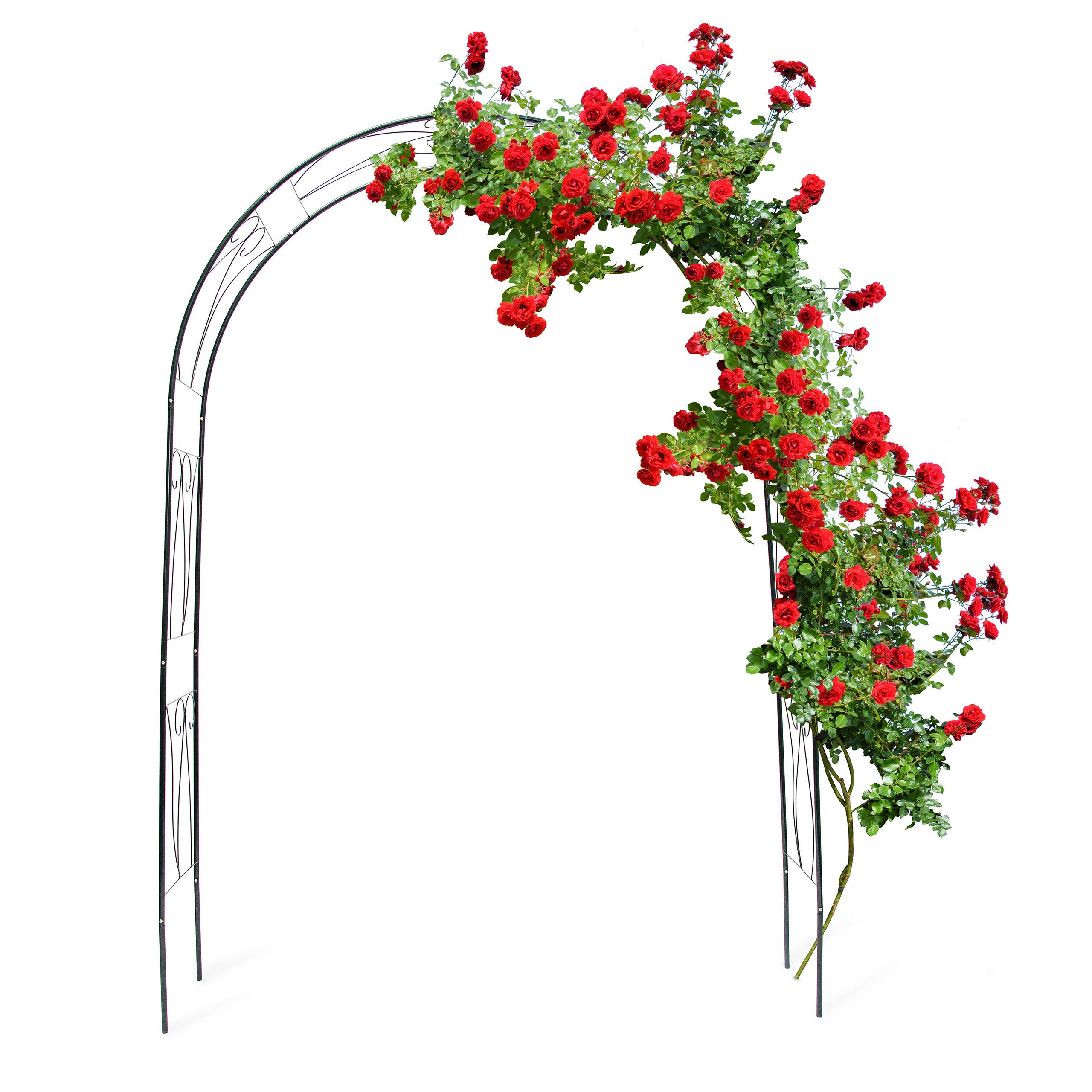 Relaxdays Arche à Rosiers tuteur roses arche de jardin arceau rosiers  Support Plantes Grimpantes Vert 2,3 m