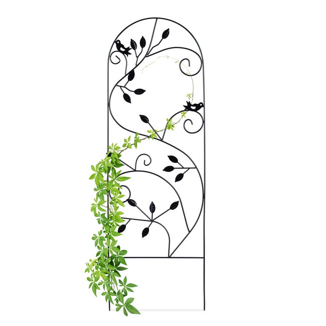 Relaxdays Treillis jardin oiseaux fer, Clôture plante grimpante Grille  fleurs métal, Arceau rosier, 120 x 40 cm, blanc
