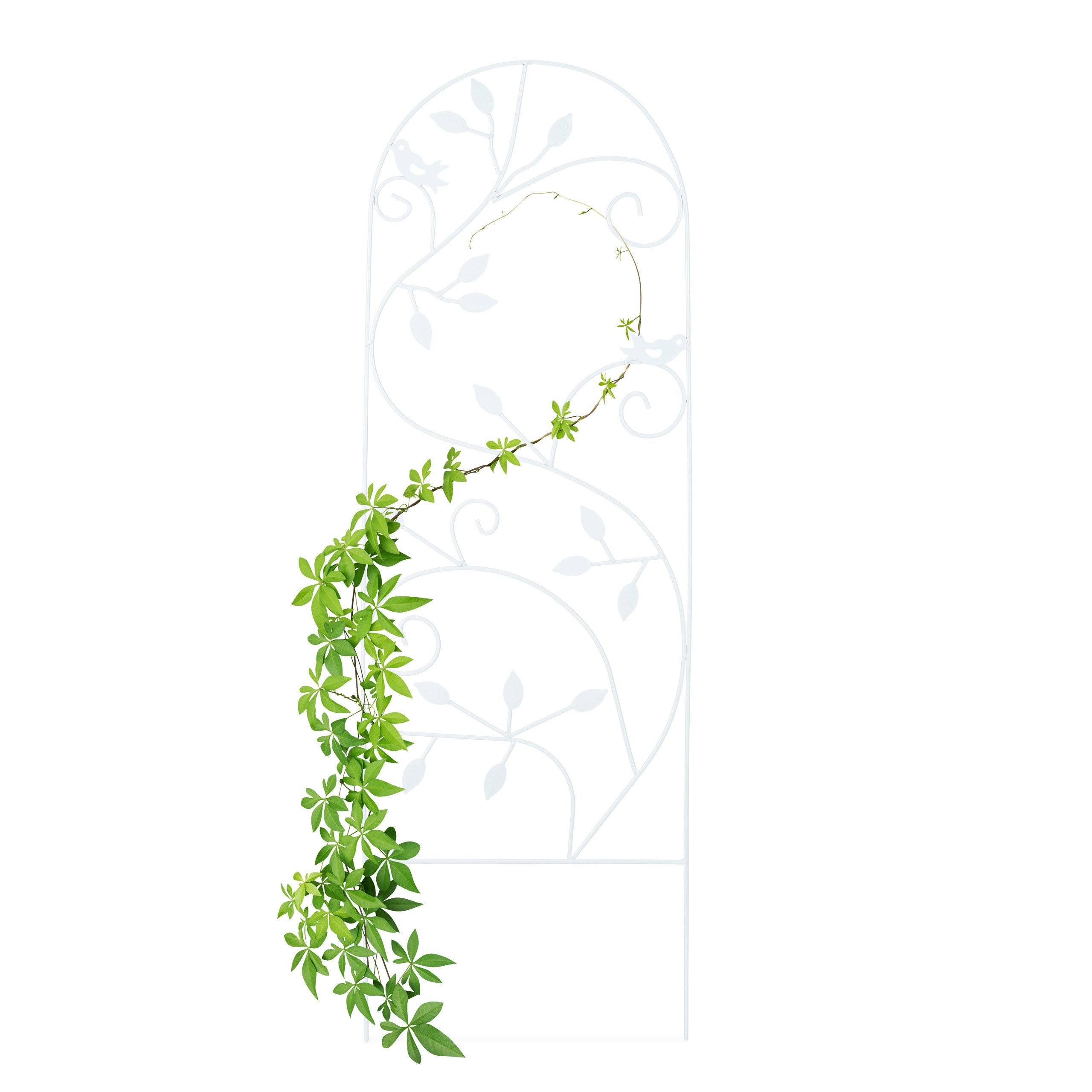 Treillis De Jardin - Treillis Jardin Fer, Clôture Plante Grimpante Grille  Fleurs Métal, Cadre De Support De Plante Clématite,[L514] - Cdiscount Jardin