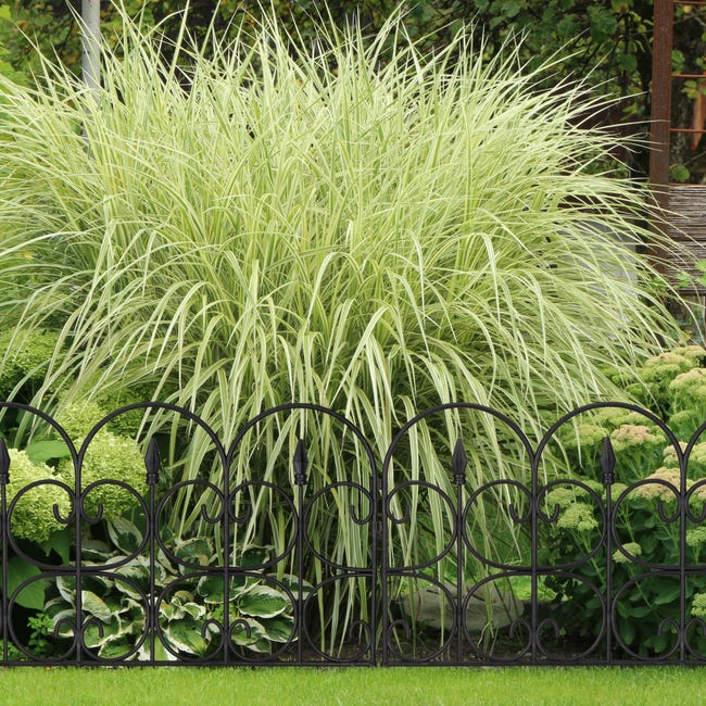 60x Bordure de jardin plastique, Clôture gazon 30 cm, 6 éléments, 4 m,  parterre massif pelouse, piquet