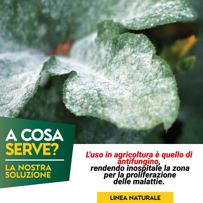 Bicarbonato di Potassio Per Agricoltura Biologica - Albagarden - Contro  Malattie Fungine Oidio Muffa Grigia Peronospora x 250 gr