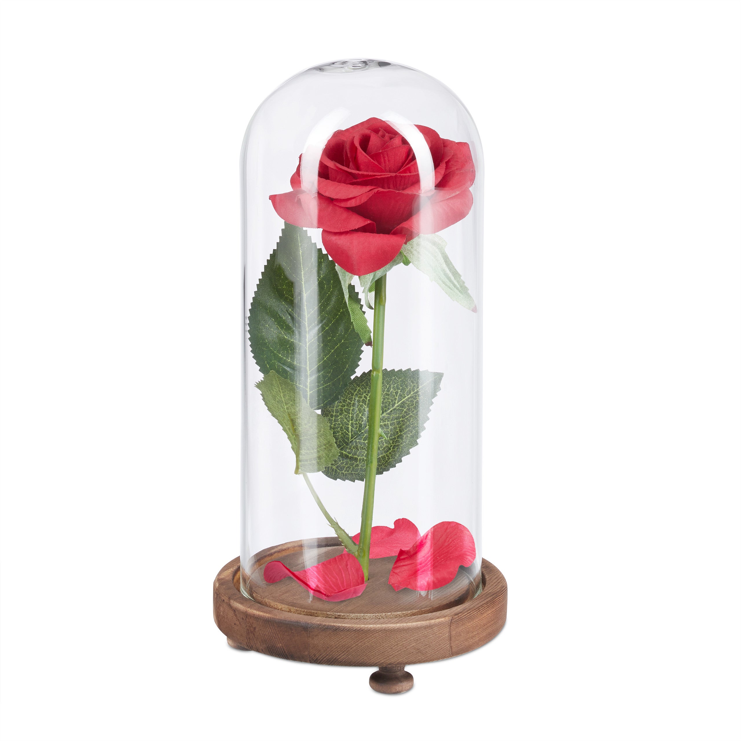 Relaxdays Rose éternelle sous cloche, cadeau pour femmes, socle en bois, la  Belle et la Bête, fleur artificielle, rouge | Leroy Merlin