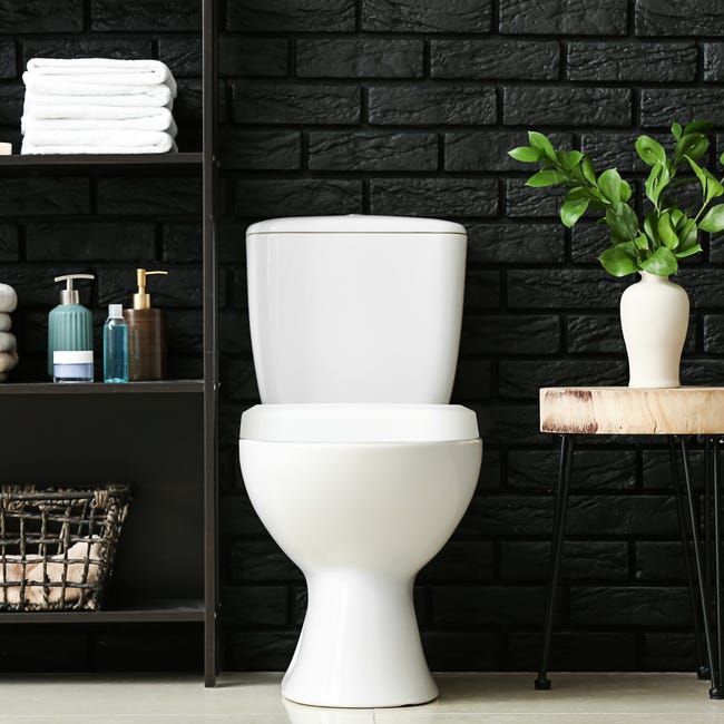 Relaxdays Abattant WC avec frein de chute, siège forme de D, amovible,  lunette en Duroplast, LxP: 37,5 x 45,5 cm, blanc