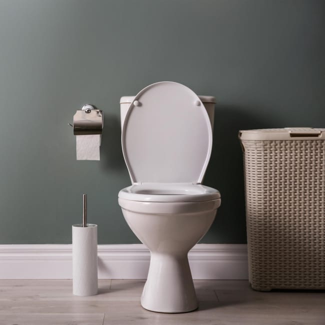 Abattant wc longueur 38 cm hotsell