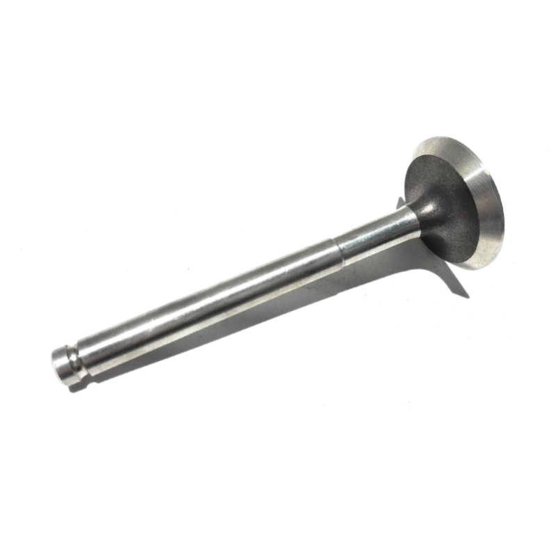 Valvola Di Aspirazione Rapida Dell'acqua, Chiave In Ottone, Valvola Di Aspirazione Rapida Dell Acqua Chiave In Ottone Valvola Di Accoppiamento Tubo Flessibile Per Irrigazione 94221223