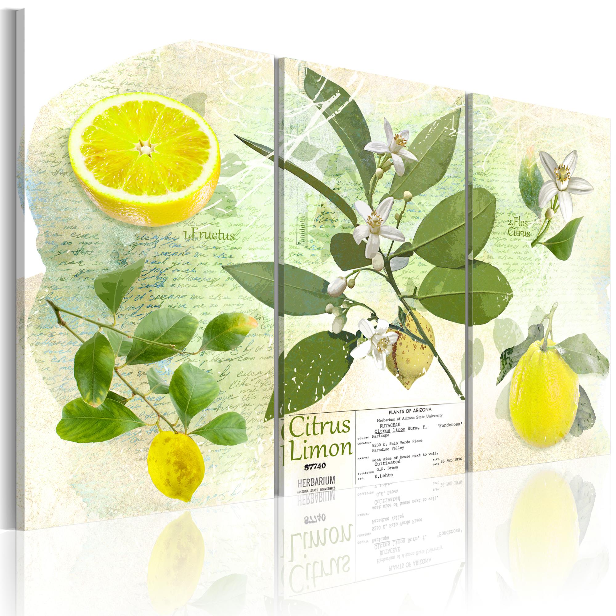 Tableau Fruit lemon 120x80 cm Leroy Merlin