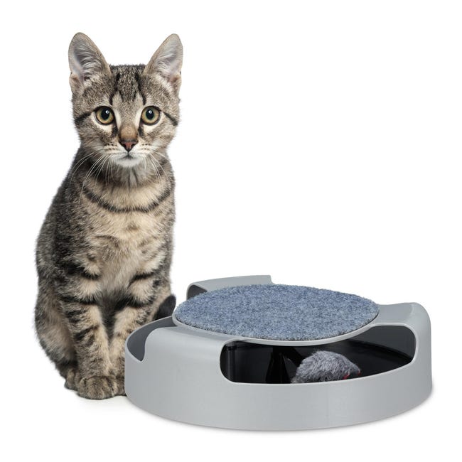 Relaxdays Jouet Chat Chatons Circuit Rond Avec Souris Griffoir Occupation Interactif H X D 7 X 25 5 Cm Gris Leroy Merlin Relaxdays Jouet Chat Chatons Circuit Rond Avec Souris Griffoir Occupation Interactif H X D 7 X 25 5 Cm Gris Leroy Merlin