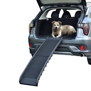 rampe chien escalier voiture d'embarquement télescope rampe d'accès voiture  chiens