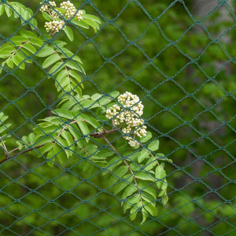 Filet de protection piscine Filet pour Bassin Polyéthylène Filet de