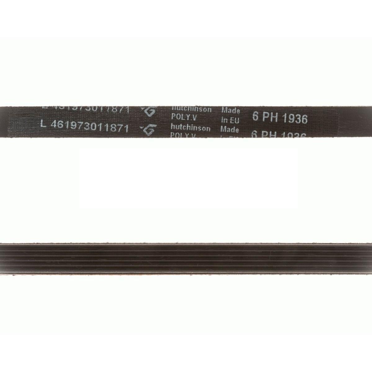 Sankuai Cinghia 7PH 1971 Compatibile con asciugatrice(136603300