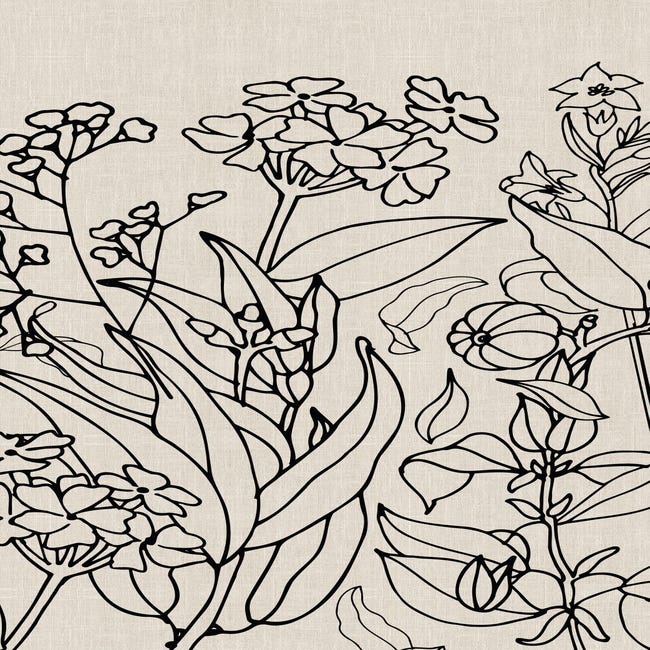 Papel pintado adhesivo panorámico Anchura.147 x Altura.250 cm Flora Noir et  Blanc - LA DECO FRANÇAISE